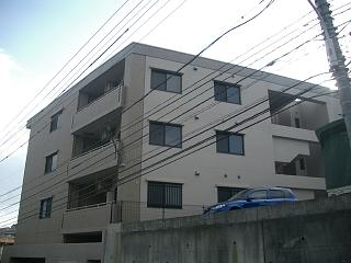 �L���s���撆�R�k���̉摜