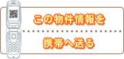 ���݁u�L���s���扷�i�V�v���𑗐M
